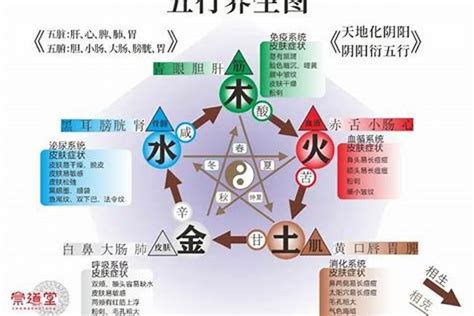 五行缺木工作|五行与职业，看看你到底适合什么样的职业（一）